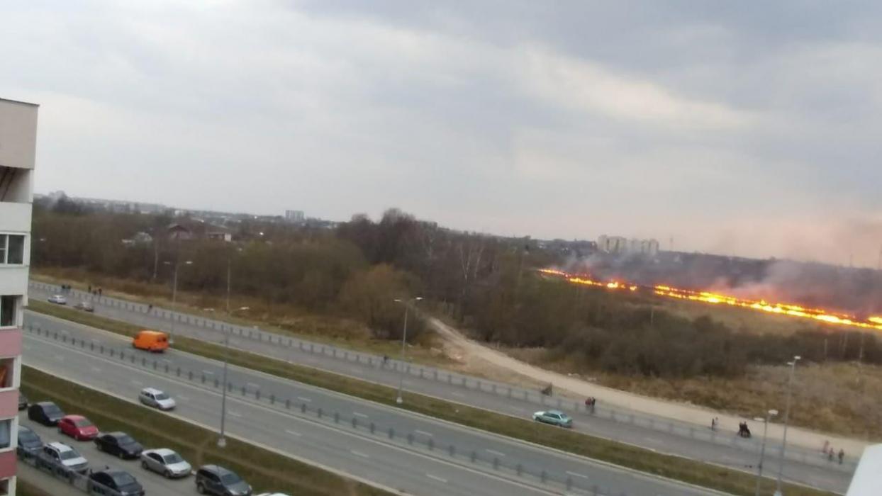 Поле напротив улицы Юности горит в Пскове