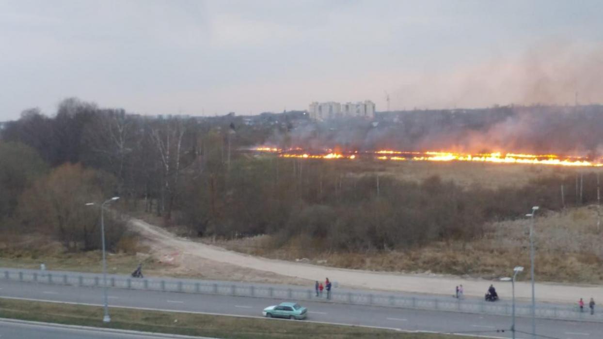 Поле напротив улицы Юности горит в Пскове