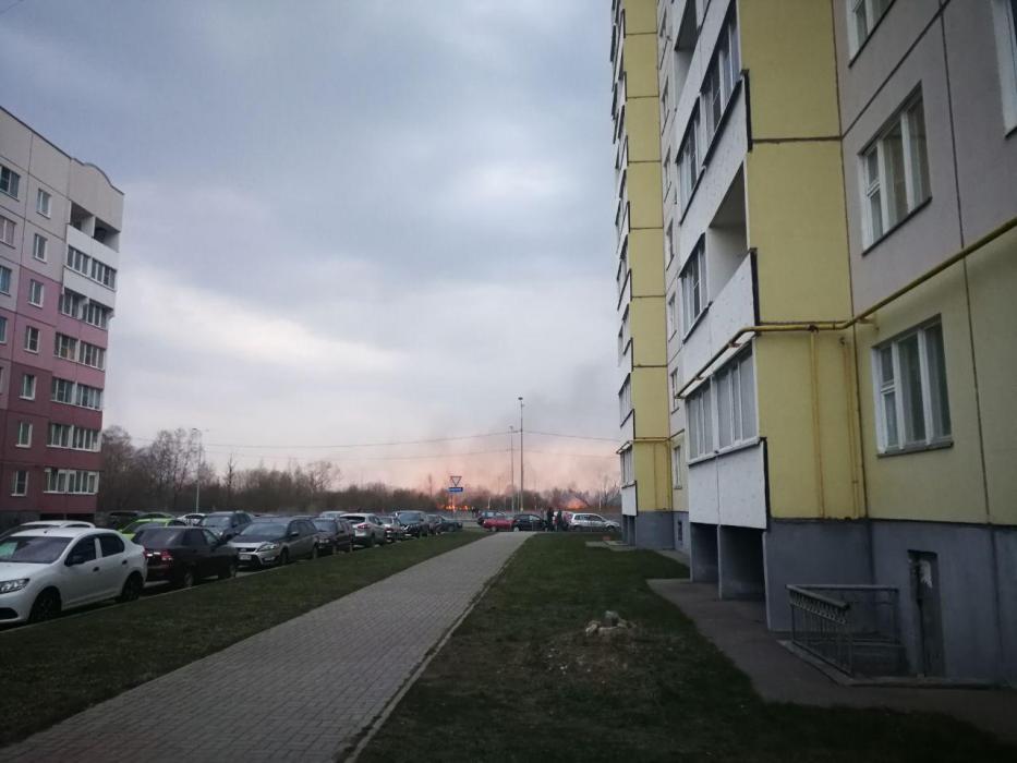 Поле напротив улицы Юности горит в Пскове