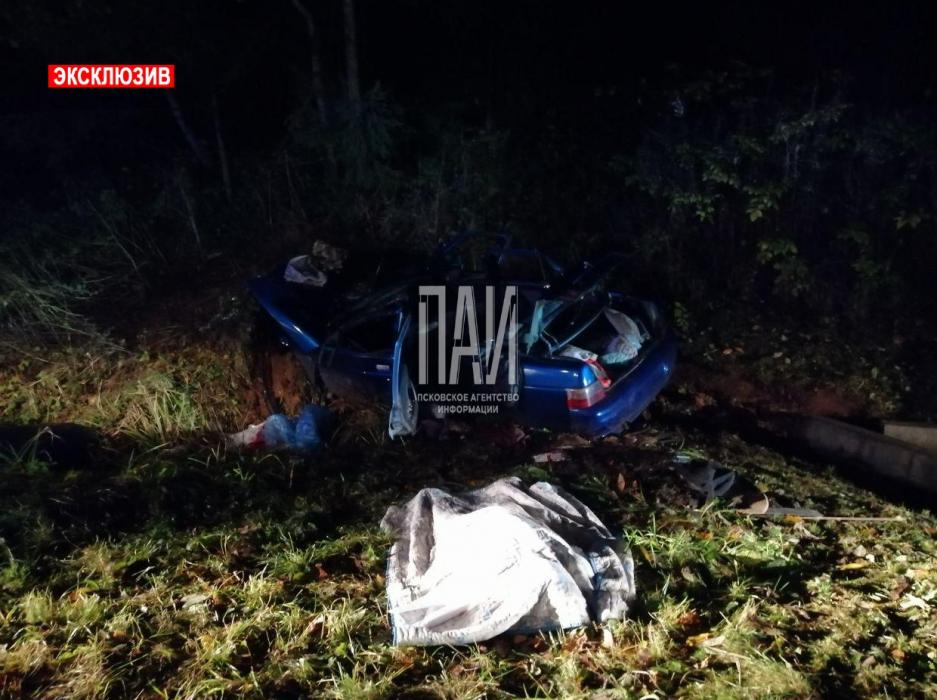 Один человек погиб и трое пострадали в Новосокольническом районе в результате столкновения с лосем.