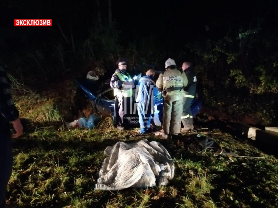 Один человек погиб и трое пострадали в Новосокольническом районе в результате столкновения с лосем.
