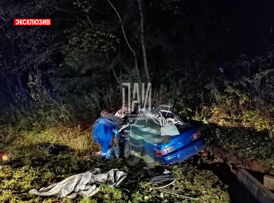 Один человек погиб и трое пострадали в Новосокольническом районе в результате столкновения с лосем.