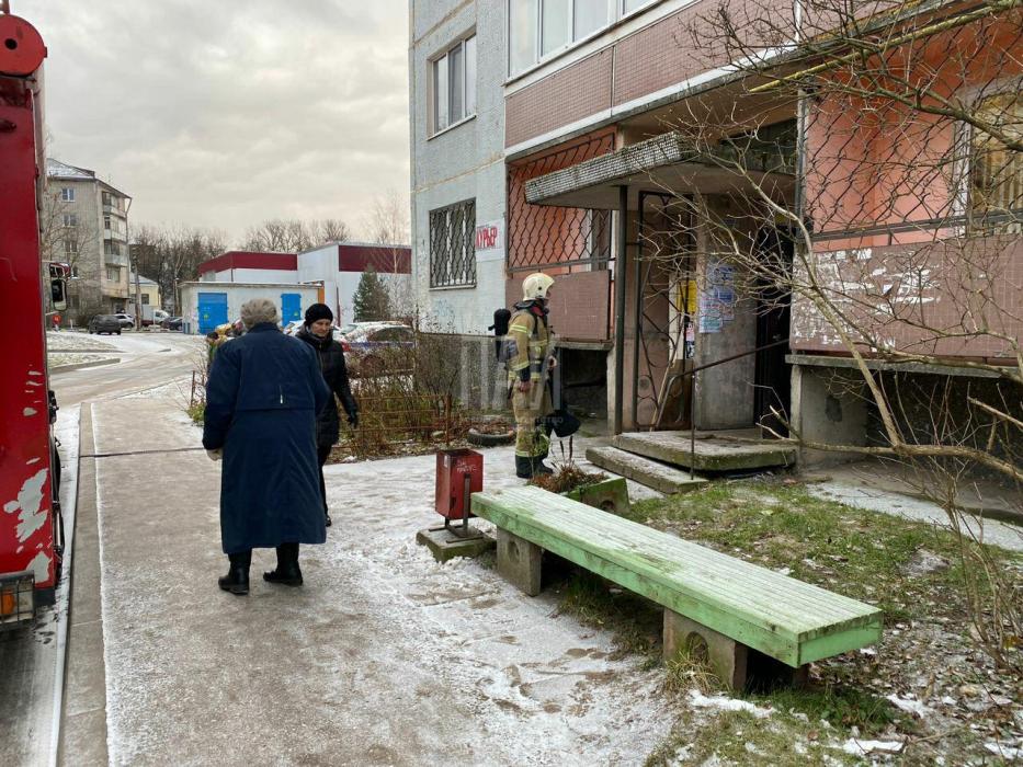 Псковская пенсионерка поджарила на плите еду: жители вызвали пожарных