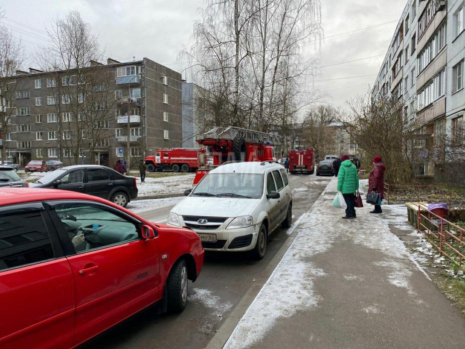 Псковская пенсионерка поджарила на плите еду: жители вызвали пожарных