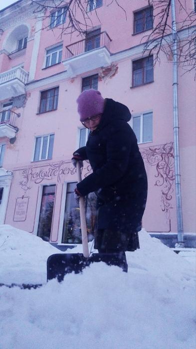 Псков завалило снегом
