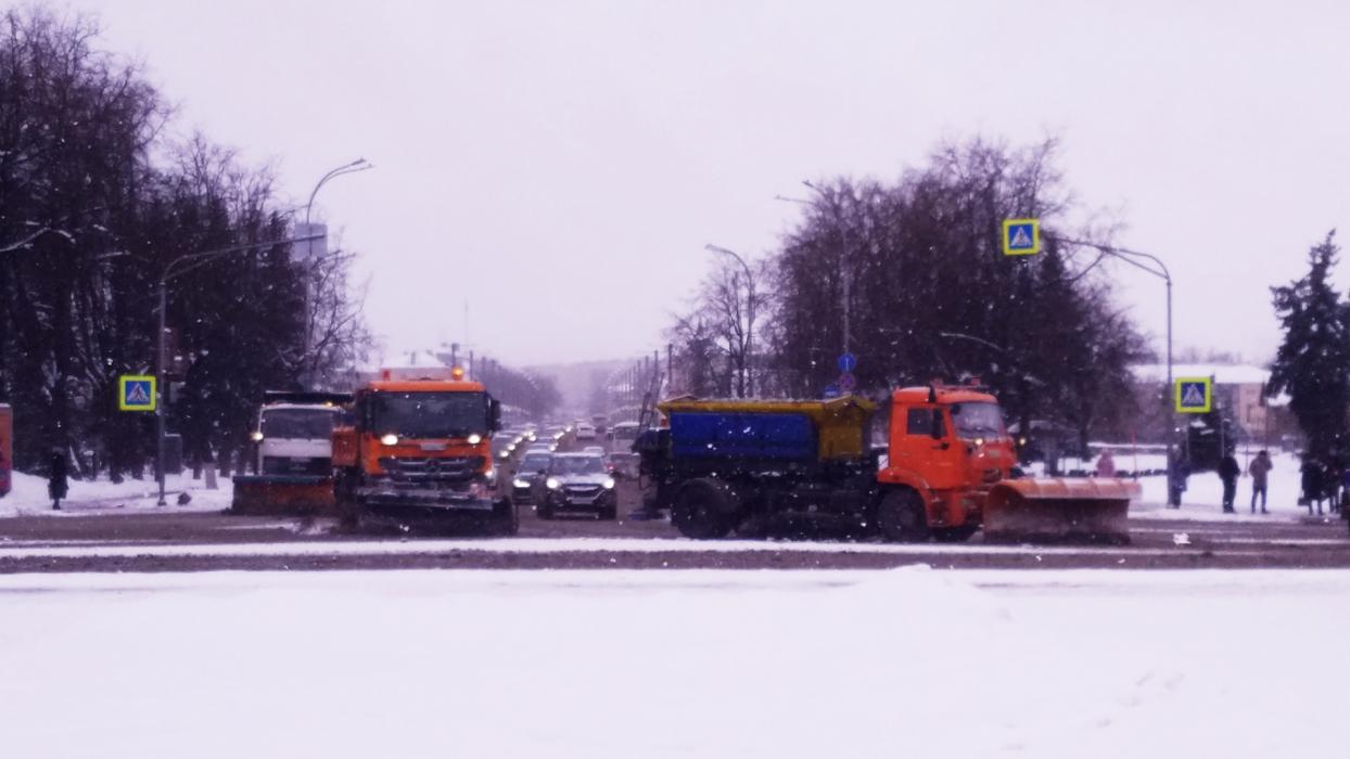 Псков завалило снегом