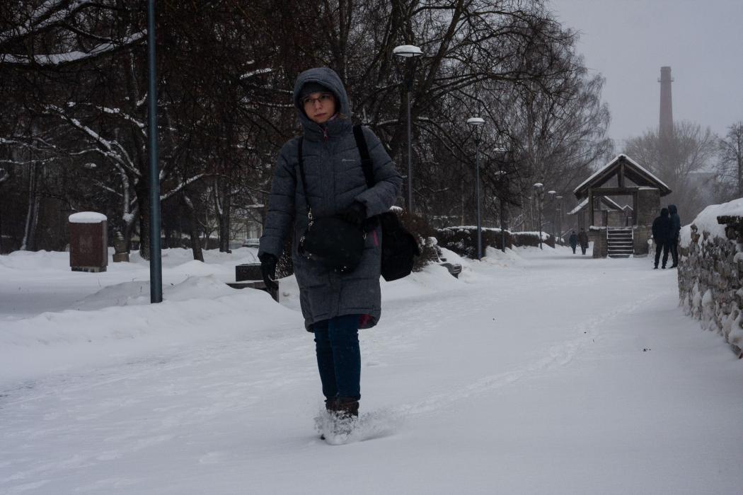 Псков завалило снегом