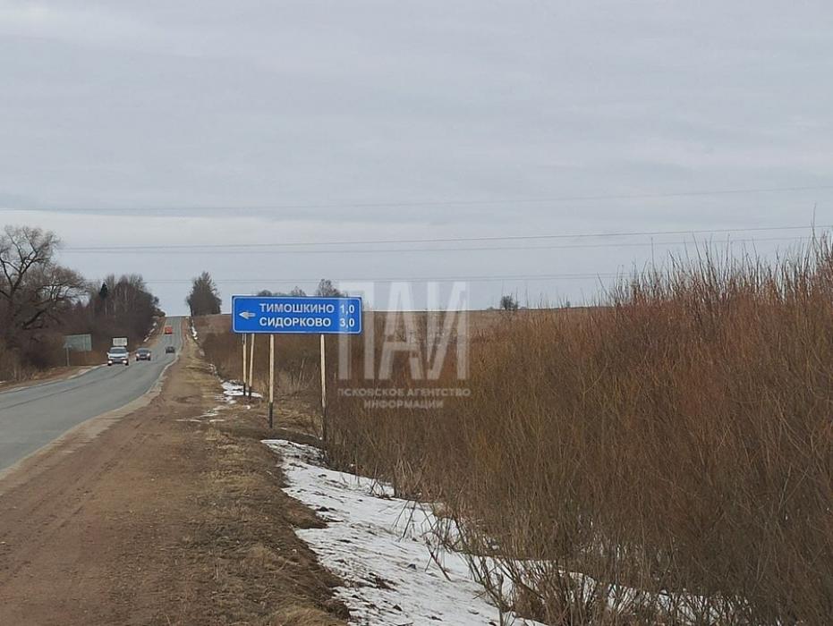 Пал травы в Дедовическом районе 
