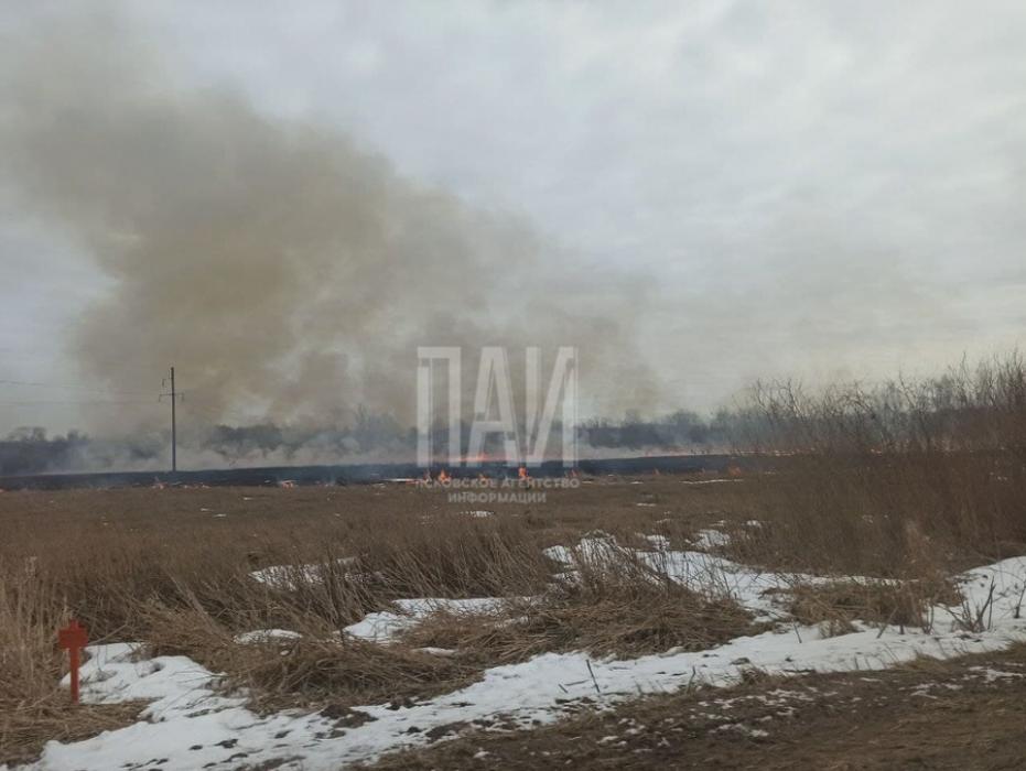 Пал травы в Дедовическом районе 