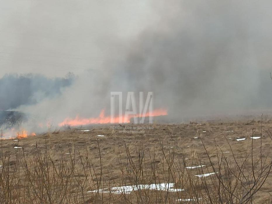 Пал травы в Дедовическом районе 