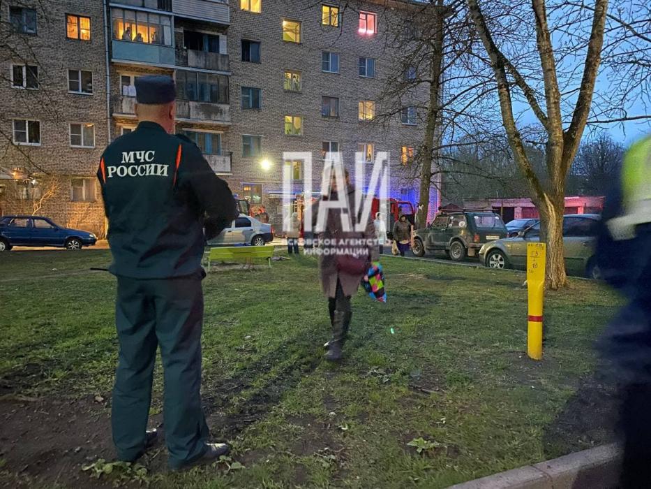 7 человек и кота эвакуировали в результате пожара на улице Красноармейской в Пскове