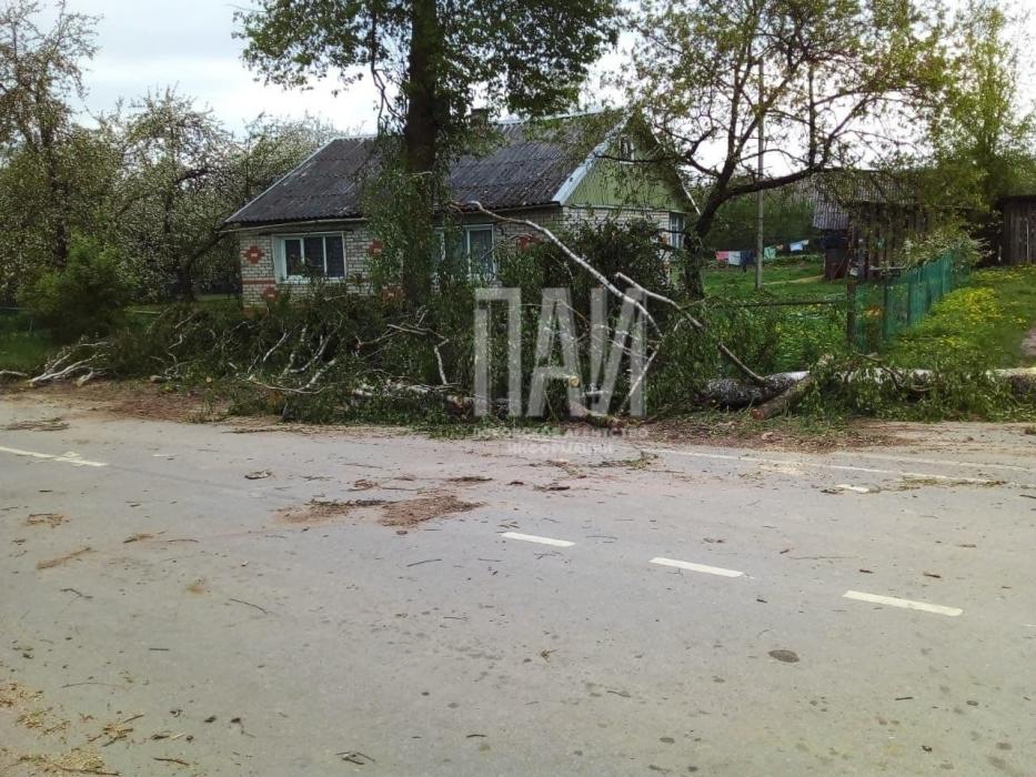 В Порхове устраняют последствия урагана