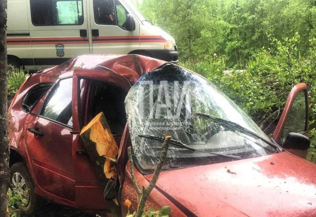 Автомобиль слетел в кювет и врезался в дерево в Псковском районе