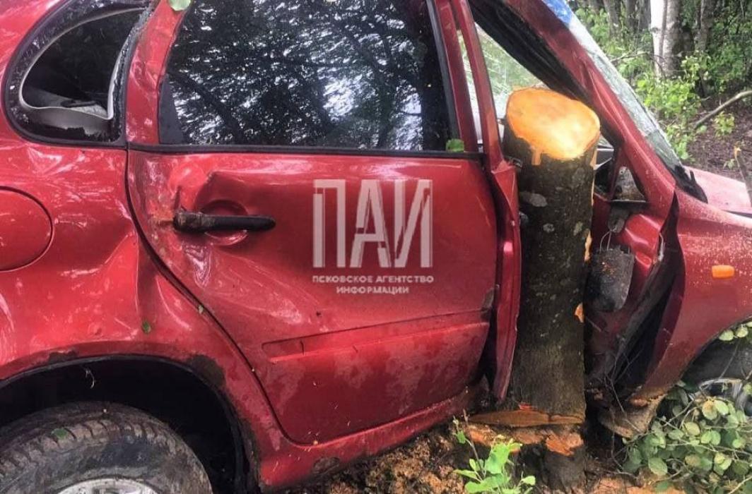 Автомобиль слетел в кювет и врезался в дерево в Псковском районе