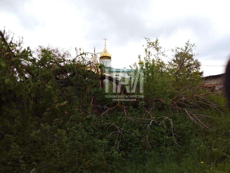 В Порхове устраняют последствия урагана