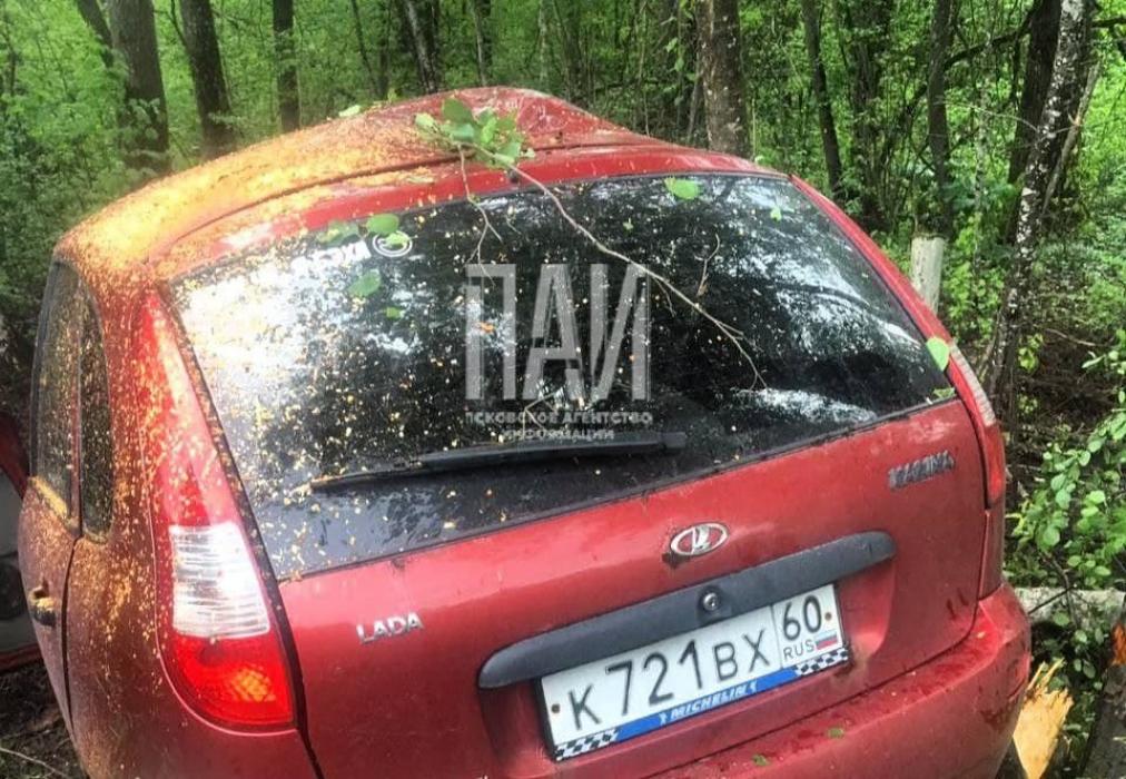 Автомобиль слетел в кювет и врезался в дерево в Псковском районе