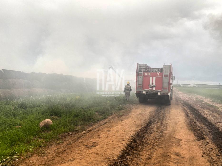 Пожарные ликвидируют возгорание в Псковском районе 