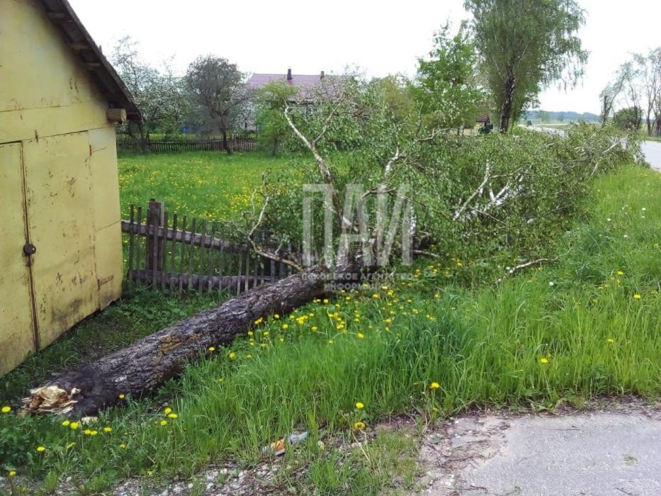 В Порхове устраняют последствия урагана