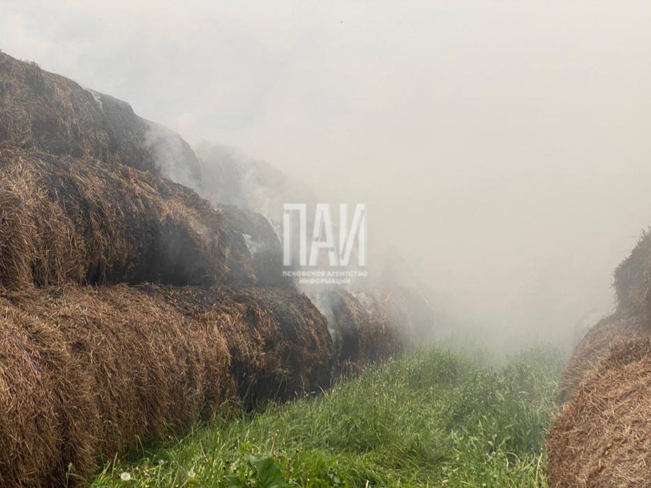 Пожарные ликвидируют возгорание в Псковском районе 