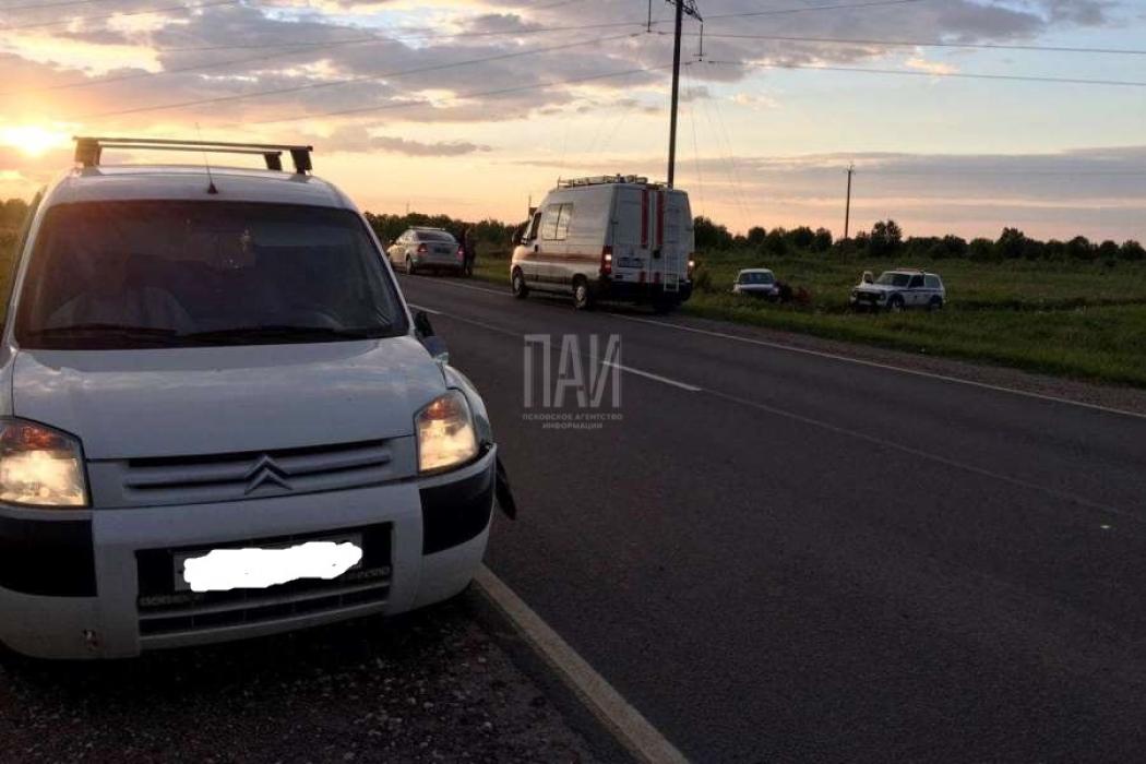 В Псковском районе водитель иномарки скрылся после ДТП
