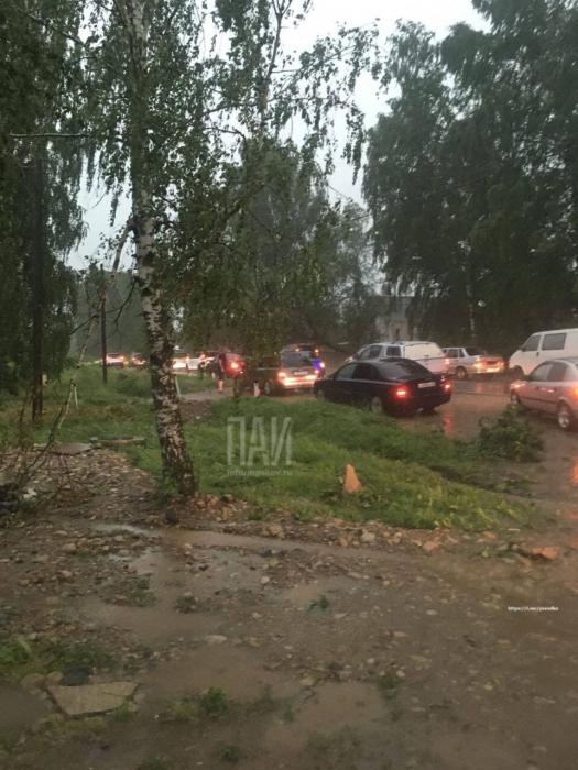 Ураганный ветер поварил деревья в Великолукском районе