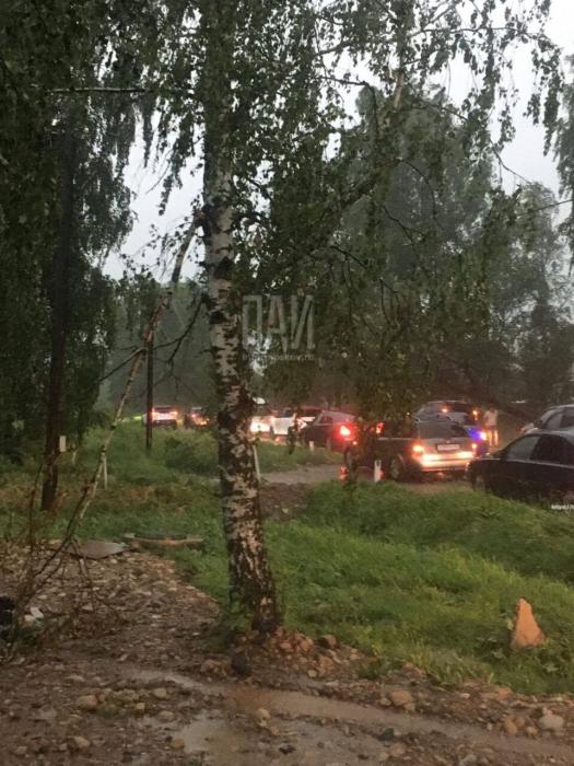Ураганный ветер поварил деревья в Великолукском районе