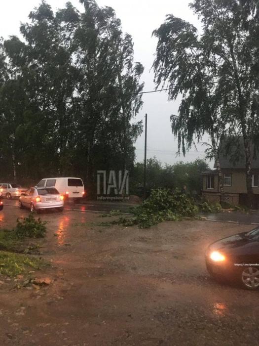 Ураганный ветер поварил деревья в Великолукском районе