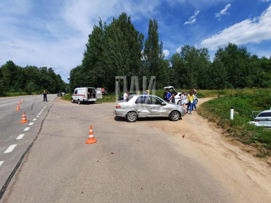 По дороге за клубникой компания на Kia Rio попала в ДТП в Гдовском районе