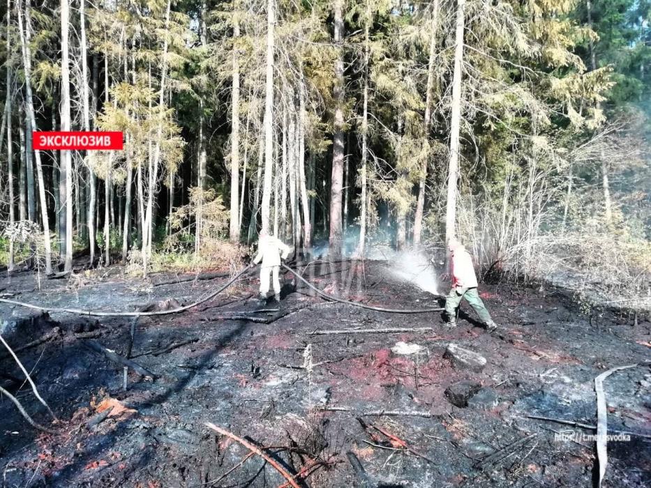 Ликвидация лесного пожара