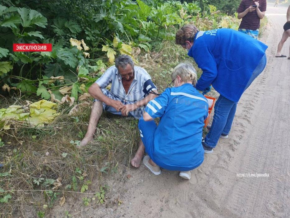 В Плюсском районе столкнулись два легковых авто