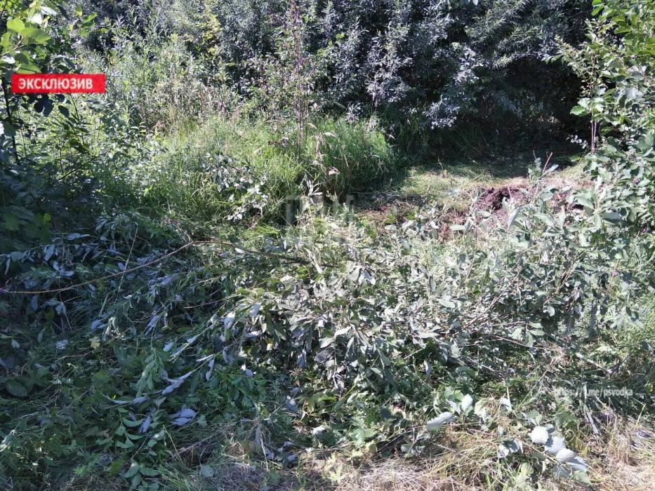 Иномарка съехала в кювет в Невельском районе