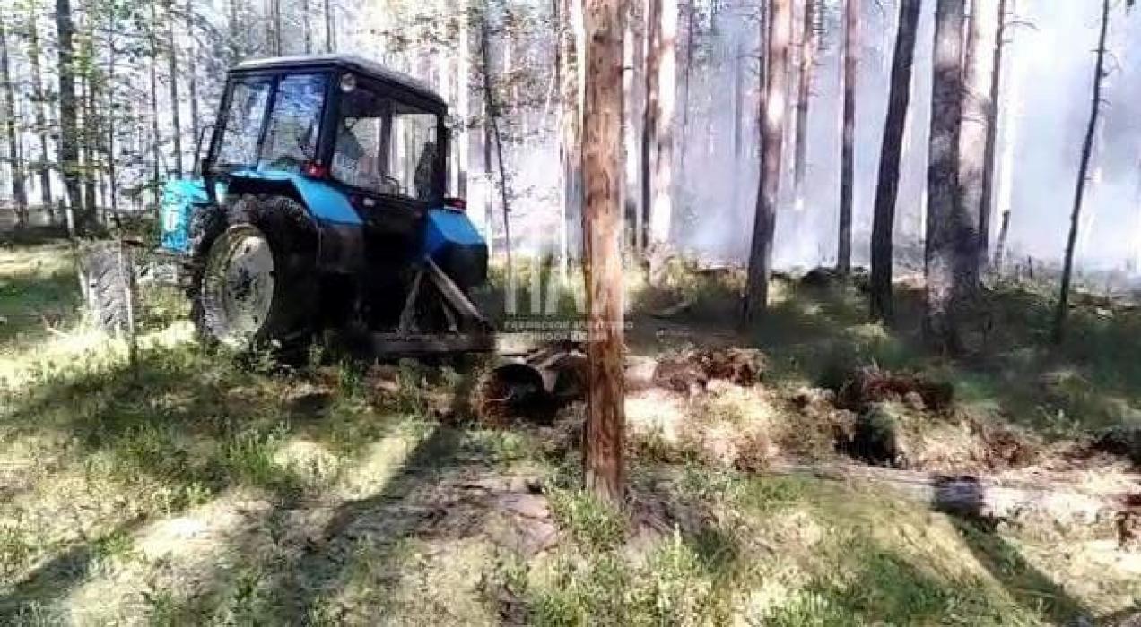 Лесной пожар тушат в Гдовском районе