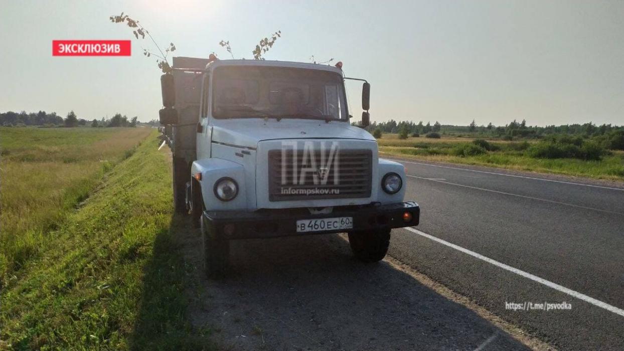 В Великолукском районе столкнулись ГАЗ и ВАЗ-2107