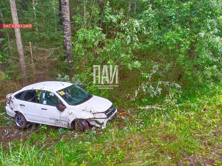 ДТП с пострадавшим в Струго-Красненском районе