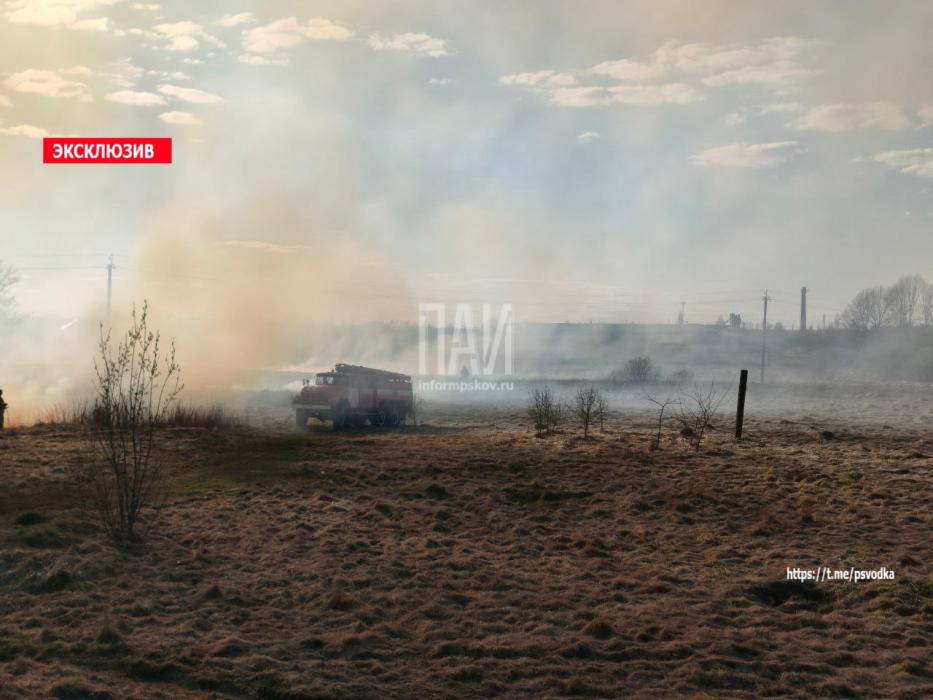 Пал травы ликвидируют в Пыталово