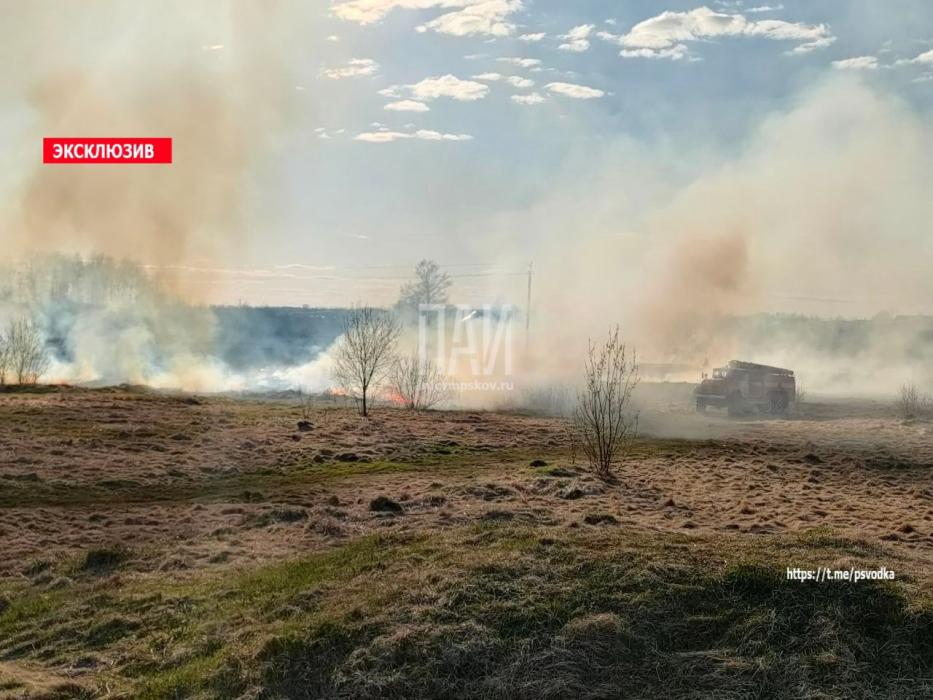 Пал травы ликвидируют в Пыталово