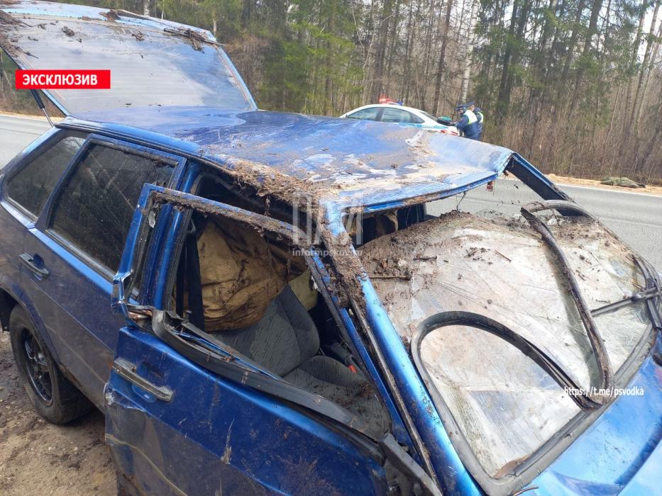 ВАЗ опрокинулся в кювет в Гдовском районе