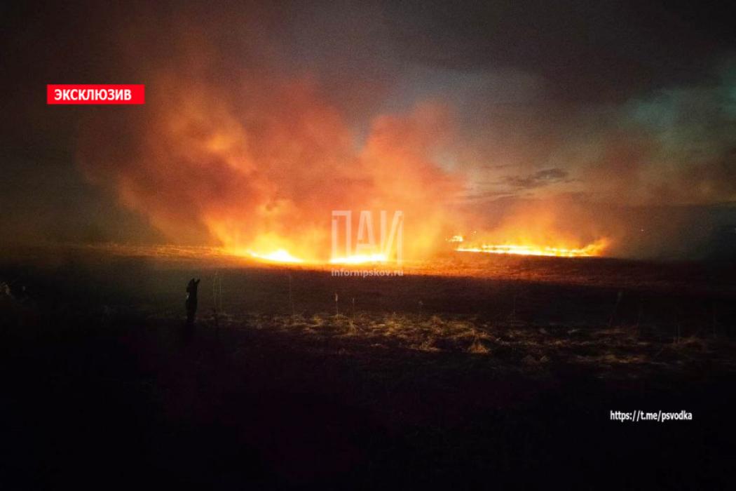 Пожарные Пыталово ликвидируют огромный пал травы