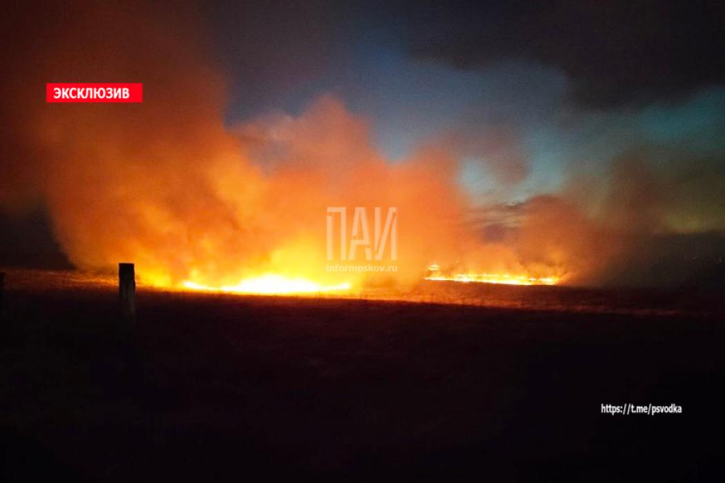 Пожарные Пыталово ликвидируют огромный пал травы