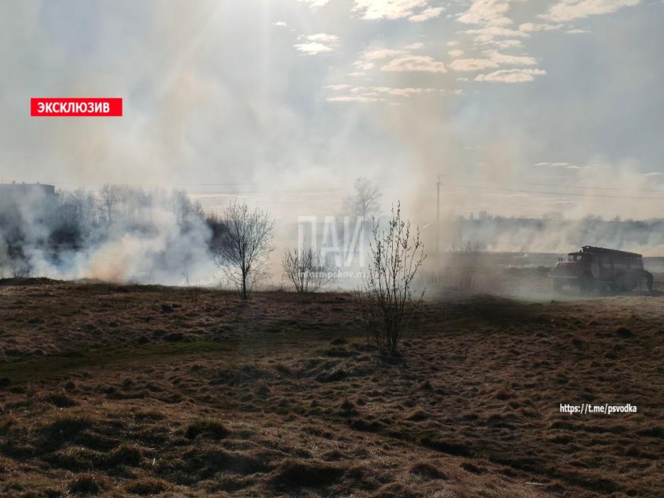 Пал травы ликвидируют в Пыталово