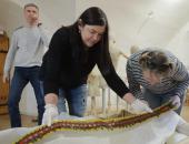 Фоторепортаж: Распаковка экспонатов уникальной псковской выставки
