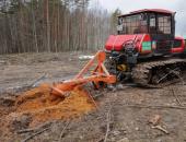 Фоторепортаж: В Печорском районе тренировались в тушении лесных пожаров