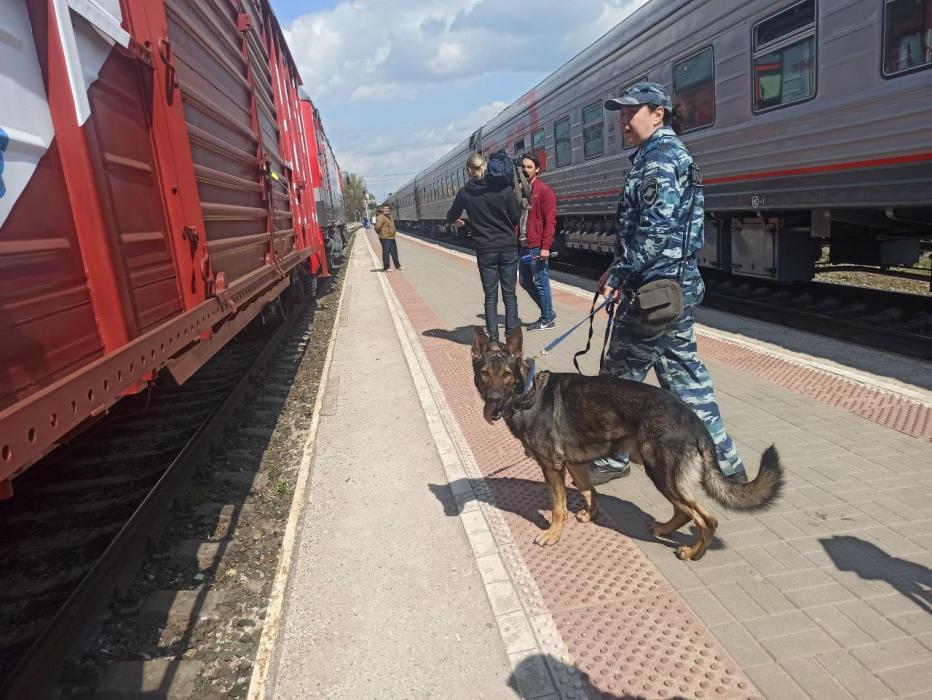Поезд Помощи