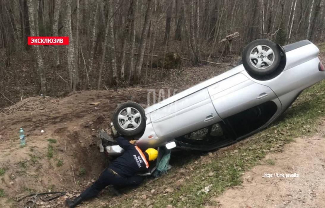 В Гдовском районе два человека пострадали при столкновении автомобиля с лосем