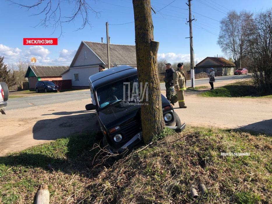 ДТП в Новоржеве