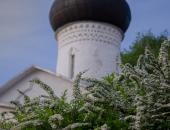 Фоторепортаж: И Псков цветет и пахнет 