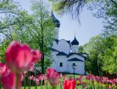 Фоторепортаж: И Псков цветет и пахнет 