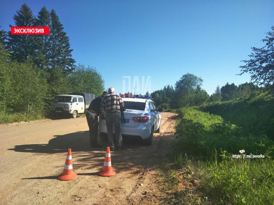 Иномарка съехала в кювет в Невельском районе