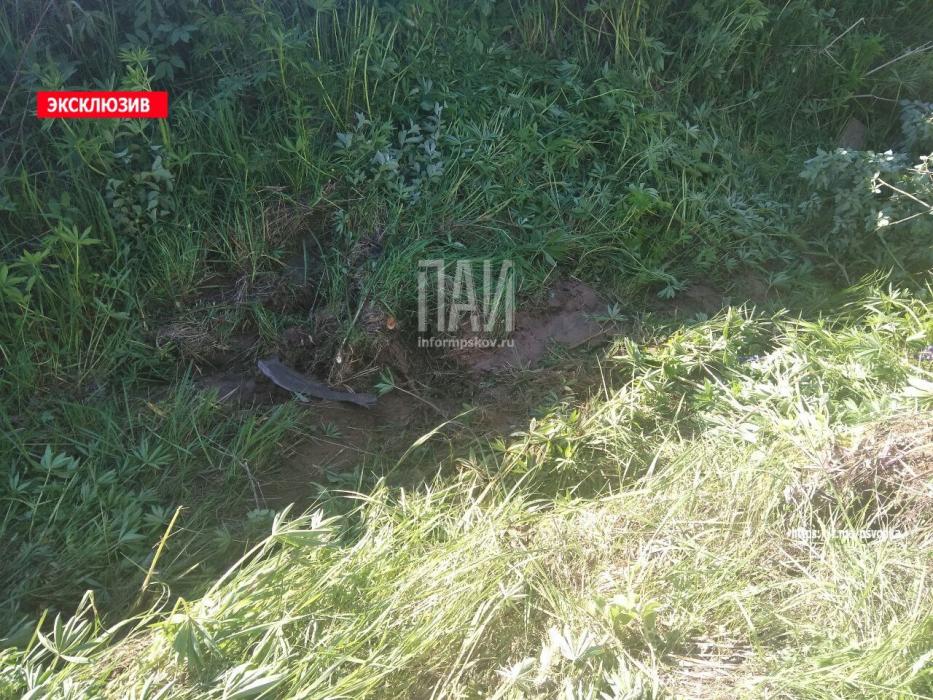 Иномарка съехала в кювет в Невельском районе