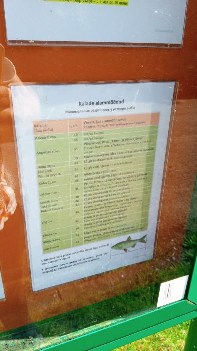 Псковичи стали в два раза реже ездить на рыбалку на Чудское озеро
